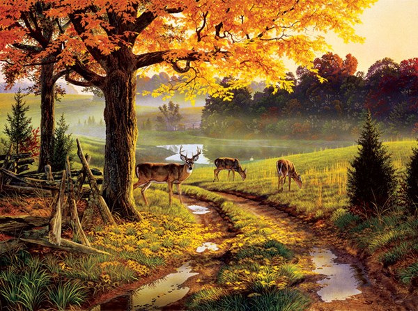 SunsOut (34766) - Al Agnew: "A Bend in the Road" - 1000 pieces puzzle