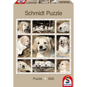 Schmidt Spiele (58155) - "Dog Kids" - 1000 pieces puzzle