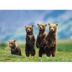 Eurographics (8300-0531) - "Bear Cubs Standing" - 300 pieces puzzle
