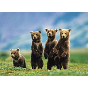 Eurographics (8300-0531) - "Bear Cubs Standing" - 300 pieces puzzle