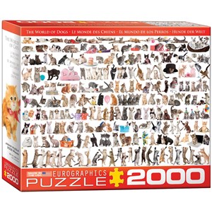 Eurographics (8220-0580) - "The World of Cats" - 2000 pieces puzzle