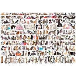 Eurographics (8220-0580) - "The World of Cats" - 2000 pieces puzzle