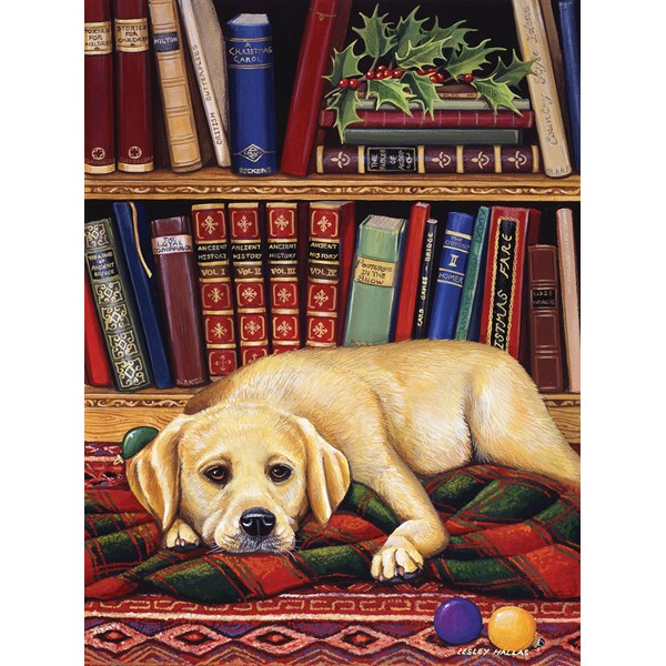 SunsOut (51731) - "Read to Me" - 1000 pieces puzzle