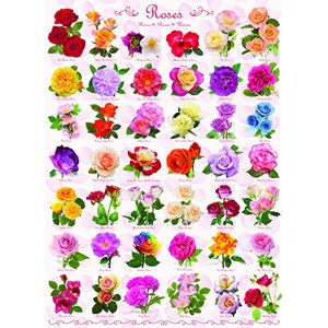 Eurographics (6000-0593) - "Roses" - 1000 pieces puzzle