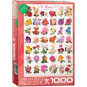 Eurographics (6000-0593) - "Roses" - 1000 pieces puzzle