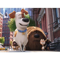 Ravensburger (10874) - "Secret Life of Pets" - 100 pieces puzzle