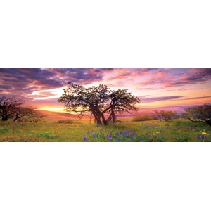 Heye (29472) - Alexander von Humboldt: "Oak Tree" - 2000 pieces puzzle