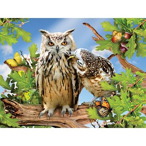 SunsOut (34950) - Lori Schory: "Owl Always Love You" - 500 pieces puzzle