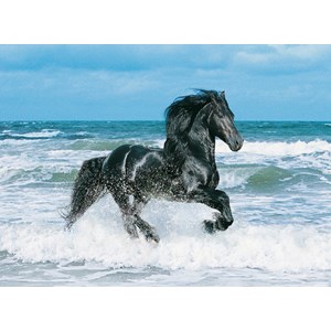 Clementoni (30175) - "Black Horse" - 500 pieces puzzle