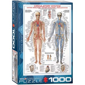 Eurographics (6000-4940) - "Circulatory System" - 1000 pieces puzzle