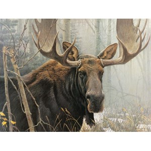 Cobble Hill (52080) - Robert Bateman: "Bull Moose" - 500 pieces puzzle
