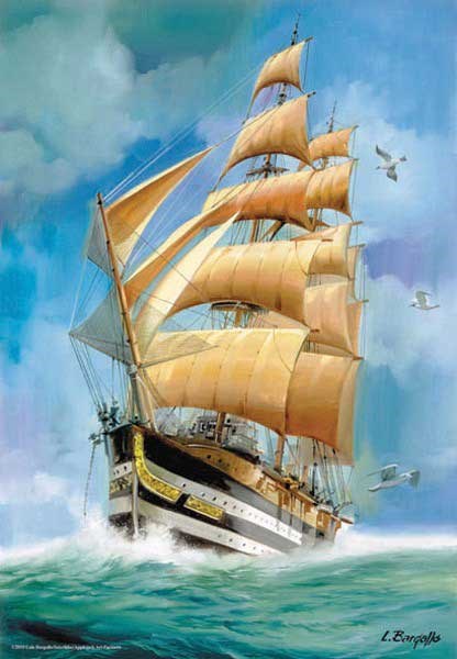 Anatolian (3529) - Luis Bargallo: "Carribean King" - 500 pieces puzzle