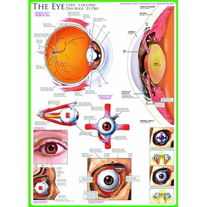 Eurographics (6000-0260) - "The Eye" - 1000 pieces puzzle
