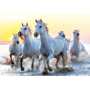 Educa (17105) - "White Horses At Sunset" - 1000 pieces puzzle