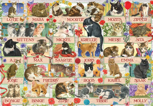 Jumbo (18324) - "Francien's Anniversary Cats" - 1000 pieces puzzle