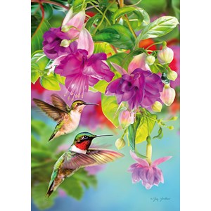Piatnik (546747) - Greg Giordano: "Hummingbirds" - 1000 pieces puzzle