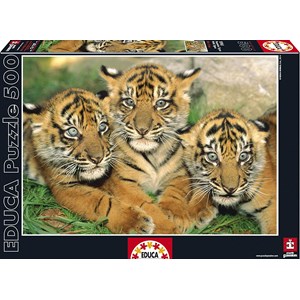 Educa (15965) - "Tiger Cubs" - 500 pieces puzzle