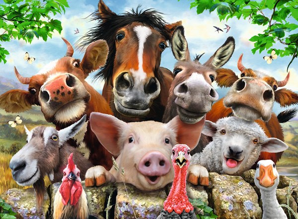 Ravensburger (13207) - Howard Robinson: "Say Cheese!" - 300 pieces puzzle