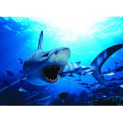 Eurographics (6000-0299) - "Hungry Shark" - 1000 pieces puzzle