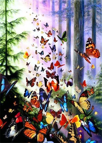 Anatolian (PER3069) - "Butterfly Woods" - 1000 pieces puzzle