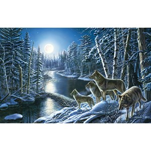 SunsOut (28499) - James Meger: "Silent Shadows" - 550 pieces puzzle