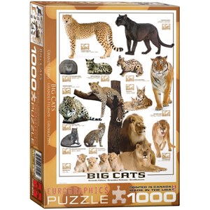 Eurographics (6000-0125) - "Big Cats" - 1000 pieces puzzle