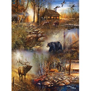 SunsOut (54672) - Jim Hansel: "Forest Collage" - 1000 pieces puzzle