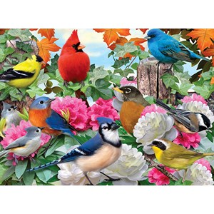 Ravensburger (14223) - Howard Robinson: "Garden Birds" - 500 pieces puzzle