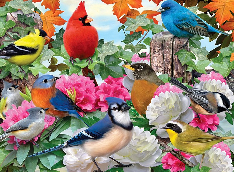 Ravensburger (14223) Howard Robinson "Garden Birds" 500 pieces puzzle