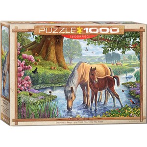 Eurographics (6000-0976) - Steve Crisp: "The Fell Ponies" - 1000 pieces puzzle