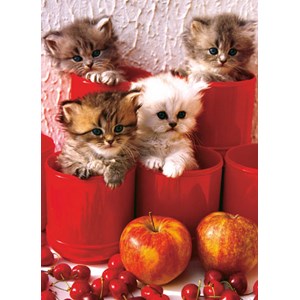 Eurographics (6000-4674) - "Kittens in Pots" - 1000 pieces puzzle