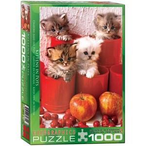 Eurographics (6000-4674) - "Kittens in Pots" - 1000 pieces puzzle