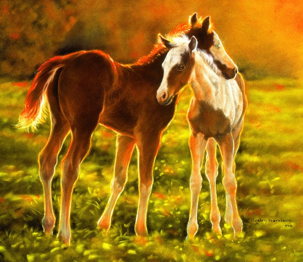 SunsOut (39506) - "Backlit Foals" - 550 pieces puzzle
