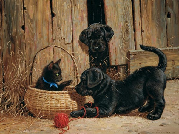 Cobble Hill (52068) - "Nosy Neighbors" - 500 pieces puzzle