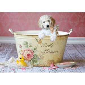 Educa (16736) - Lisa Jane: "Belle Maison" - 500 pieces puzzle