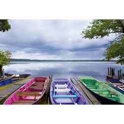 Educa (15984) - "Changing Seasons" - 1000 pieces puzzle