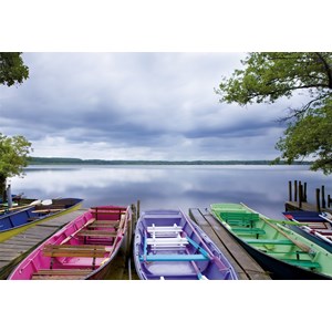 Educa (15984) - "Changing Seasons" - 1000 pieces puzzle