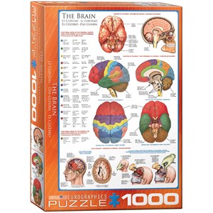 Eurographics (6000-0256) - "The Brain" - 1000 pieces puzzle