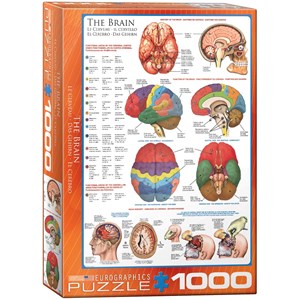 Eurographics (6000-0256) - "The Brain" - 1000 pieces puzzle