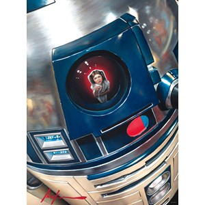 Buffalo Games (11806) - "Star Wars™ 40th Anniversary "You're My Only Hope"" - 1000 pieces puzzle