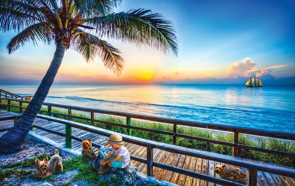 SunsOut (30116) - Celebrate Life Gallery: "End of Day Play" - 550 pieces puzzle