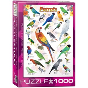 Eurographics (6000-0126) - "Parrots" - 1000 pieces puzzle
