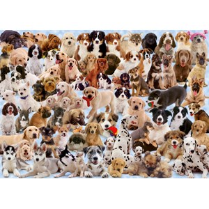 Ravensburger (15633) - "Dogs Galore!" - 1000 pieces puzzle