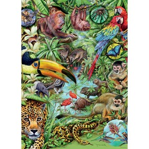 Heye (29617) - M. Wieczorek: "Rainforest" - 1000 pieces puzzle
