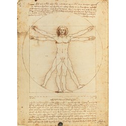Clementoni (35001) - Leonardo Da Vinci: "Vitruvian Man" - 500 pieces puzzle