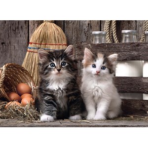 Clementoni (39340) - "Cute Kitties" - 1000 pieces puzzle
