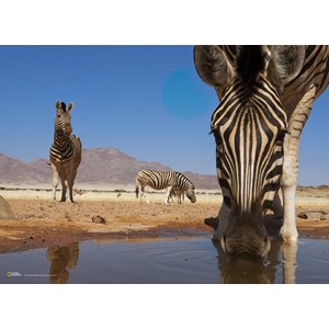 Clementoni (39356) - "Zebra" - 1000 pieces puzzle