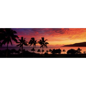 Schmidt Spiele (59308) - Mark Gray: "Trinity Bay, Cairns, Queensland, Australia" - 1000 pieces puzzle
