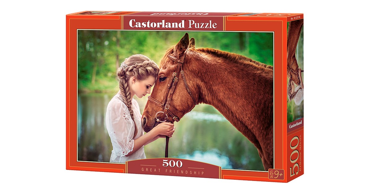 Castorland - B-52431 - Puzzle - Loup Solitaire - 500 Pièces