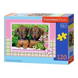 Castorland (13142) - "Dachshund Puppies" - 120 pieces puzzle